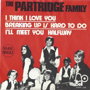 The Patridge Family --> I think I love you